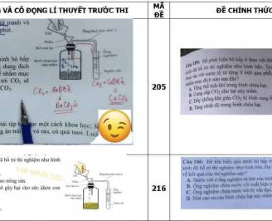 Hai cựu giáo viên bị khởi tố trong vụ trùng đề thi tốt nghiệp THPT